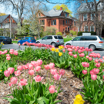 The Annex community